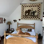 Llamas Pyjamas