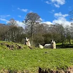Serendipity Holiday Home Not For Use By Contractors