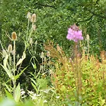 Sockbridge Mill Bed And Breakfast
