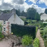 Yew Tree