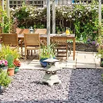 B&B Meadow View