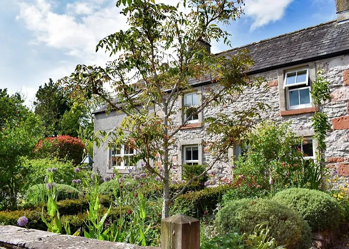 Yew Tree