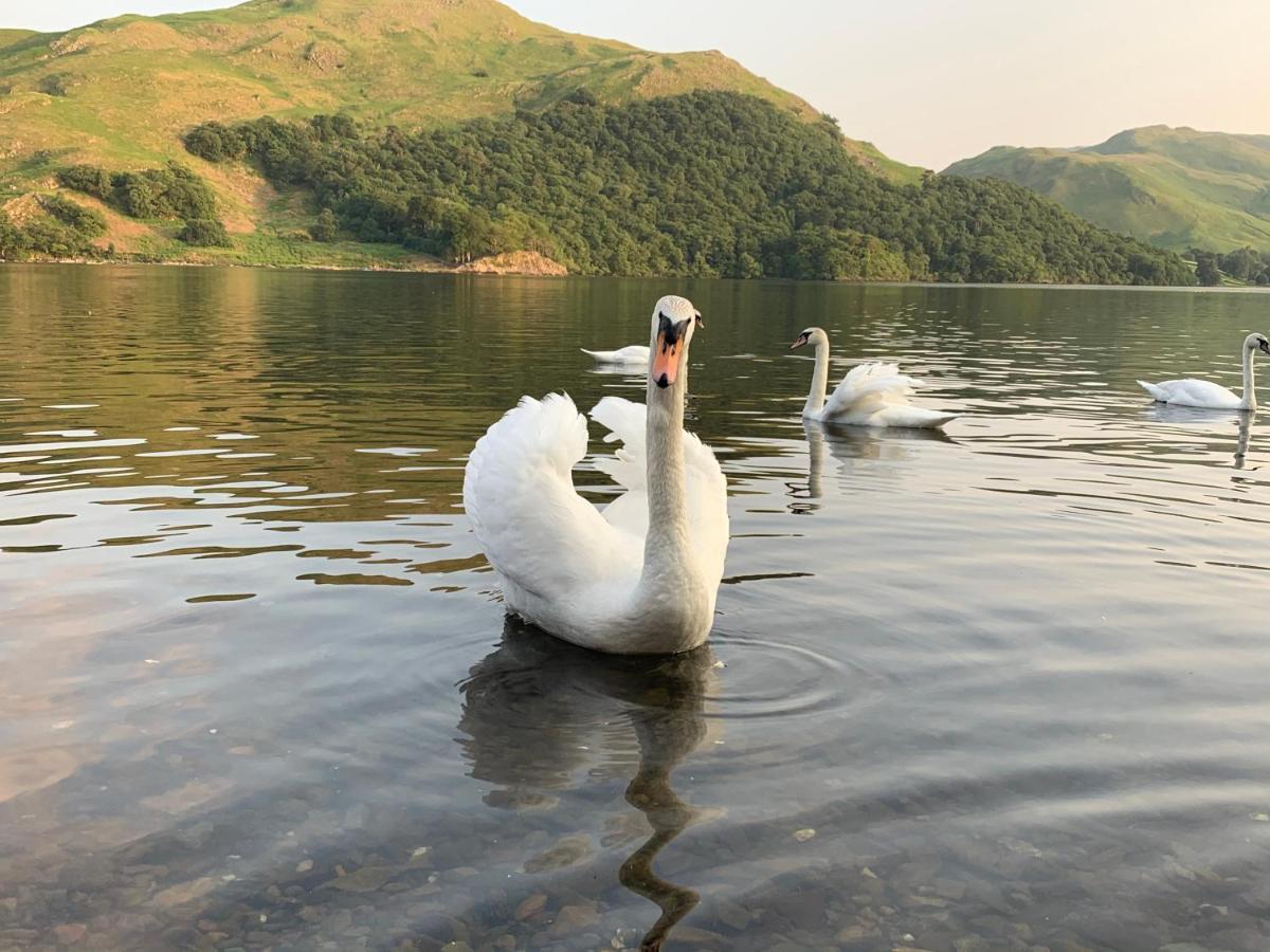 The Ullswater View Guest house Watermillock