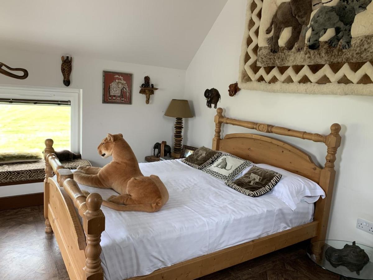 Bed & Breakfast Llamas Pyjamas