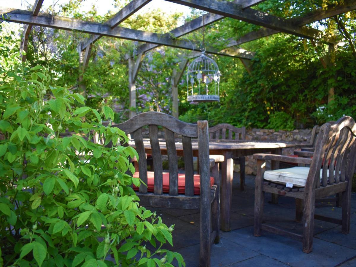 Yew Tree *