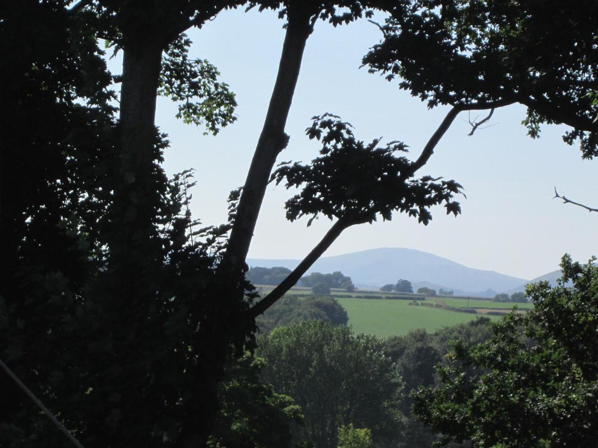 Daleholme * Clifton (Cumbria)