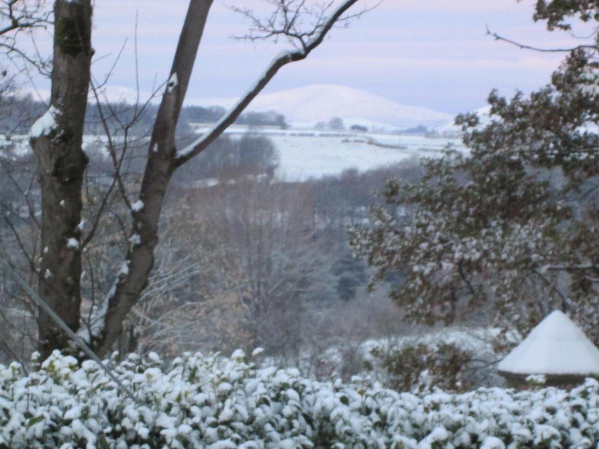 Daleholme Bed & Breakfast