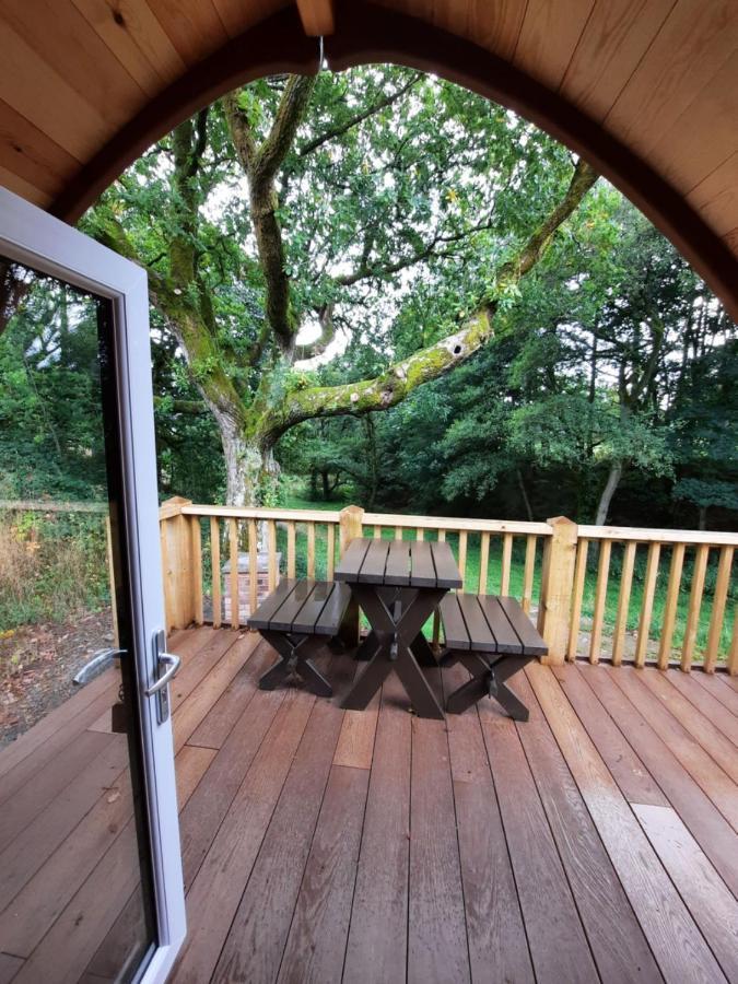 The Honeybee Pod Campsite