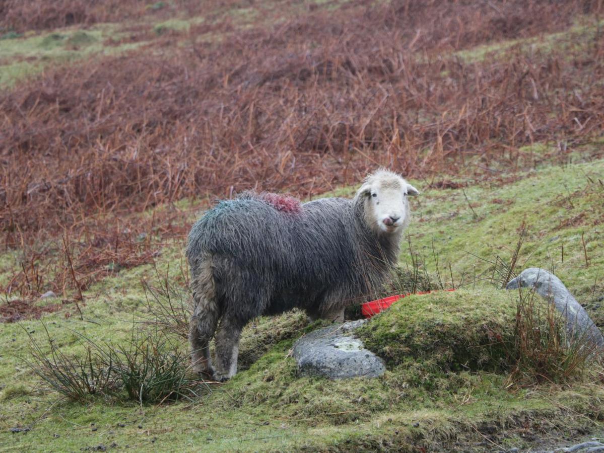 Cosy Corner In The Lakes * Penrith