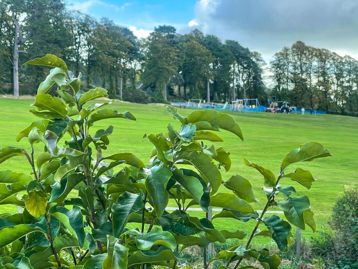 Holiday home Fell View - Dog-friendly House, Enclosed Garden & Great Views *