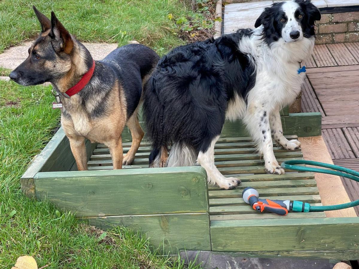 Holiday home Fell View - Dog-friendly House, Enclosed Garden & Great Views Penrith