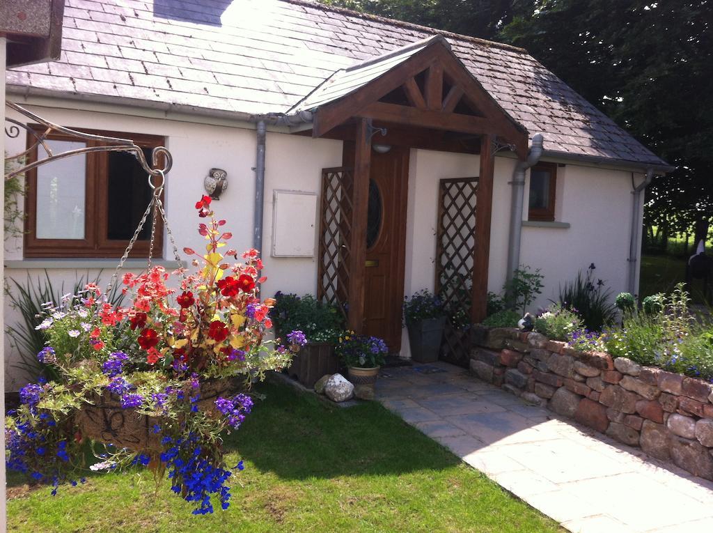 Llamas Pyjamas Bed & Breakfast 5*