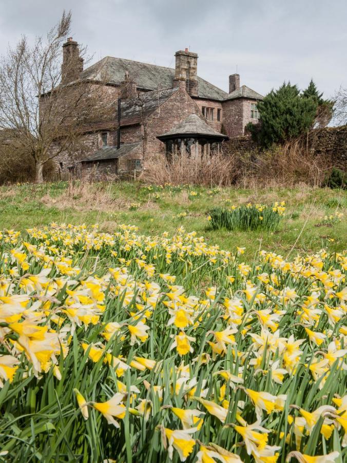Hall Bed & Breakfast