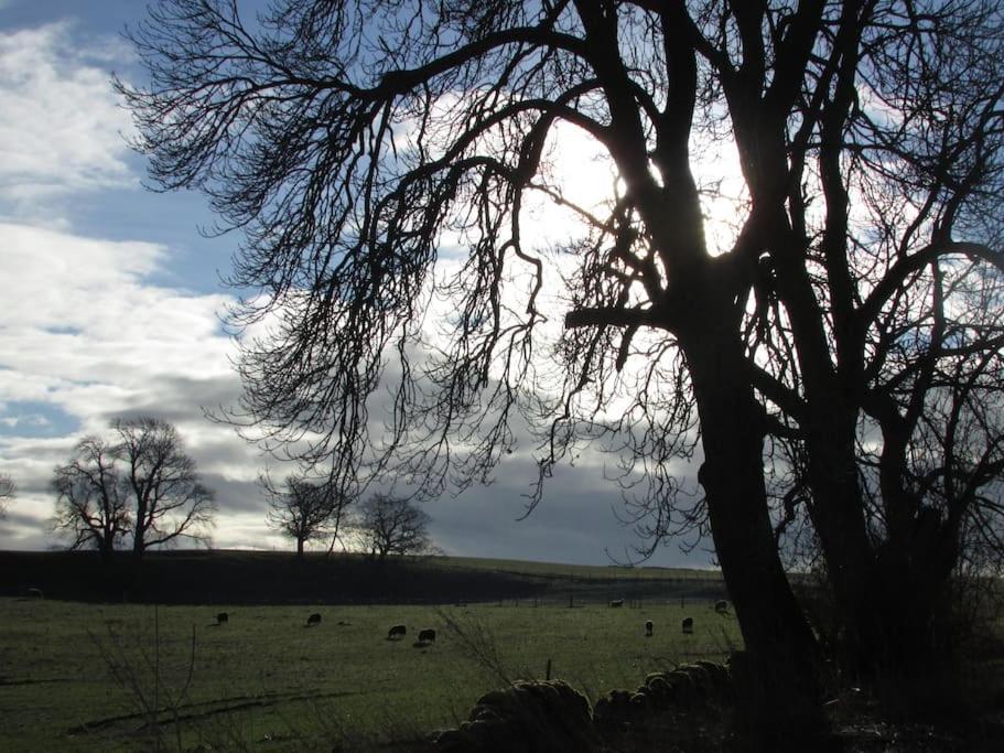 Windy Nook Glendowlin, Yanwath Ca10 2la *