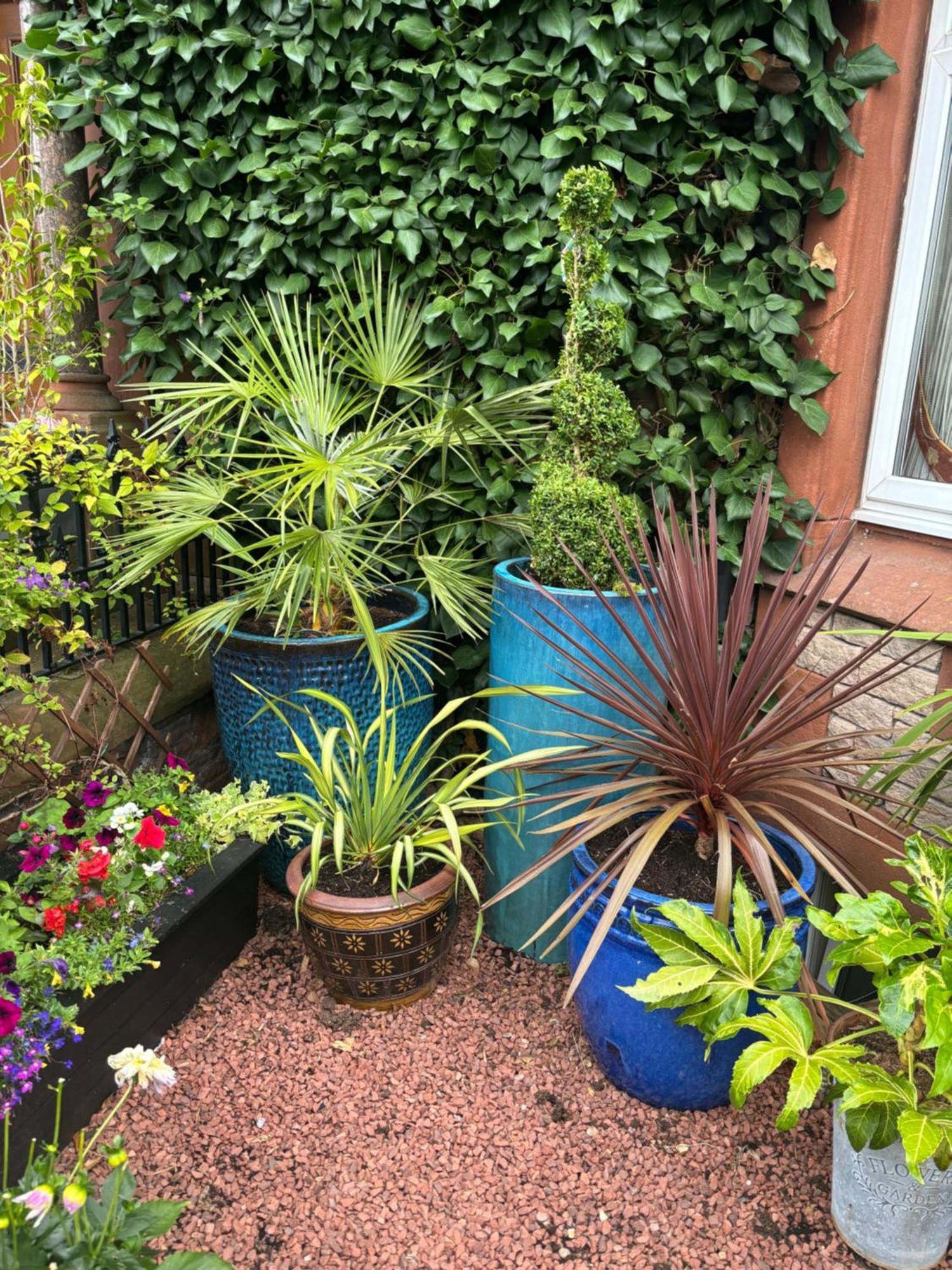 Brooklands Guest house Penrith