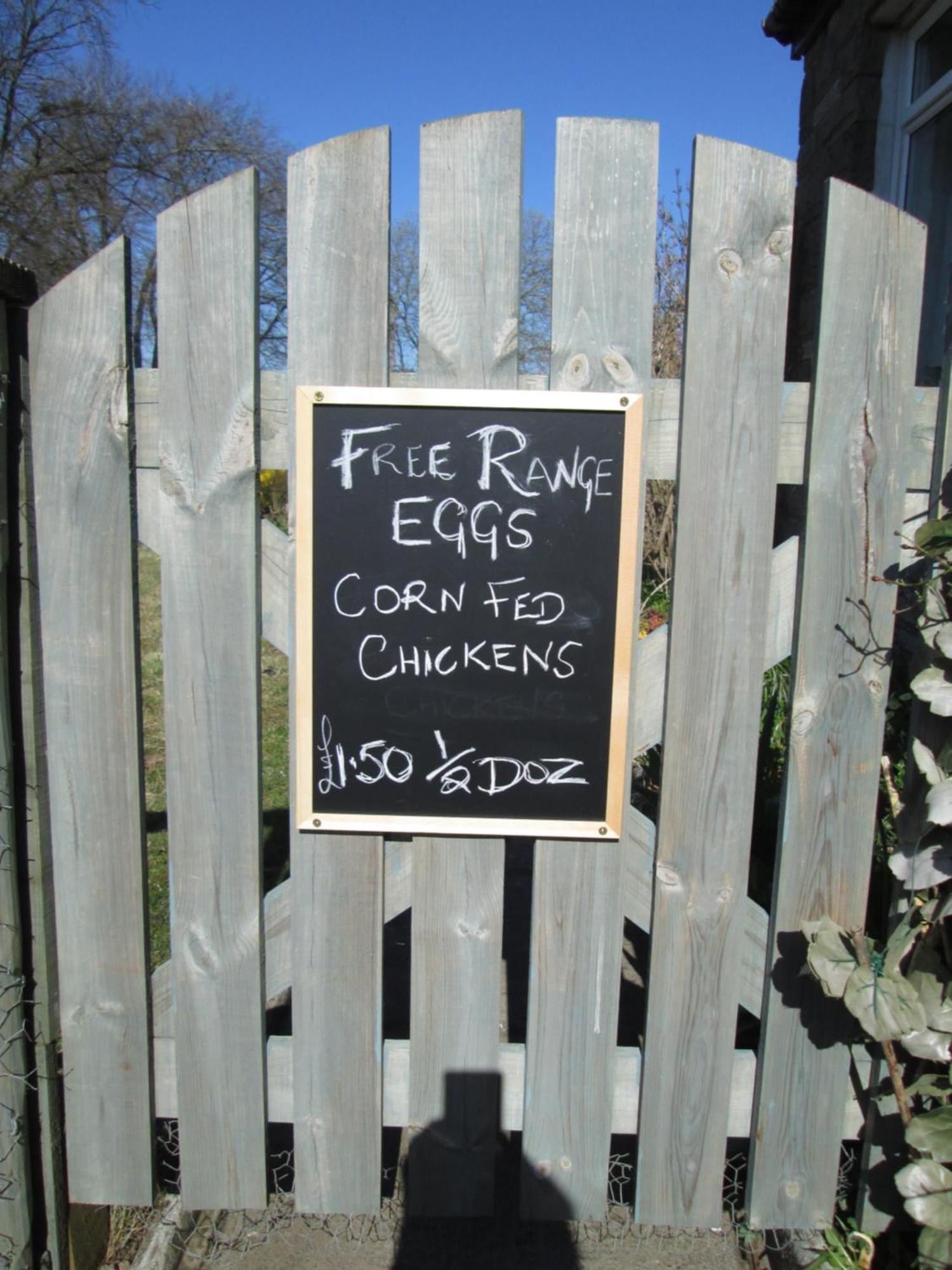 Bed & Breakfast Daleholme *