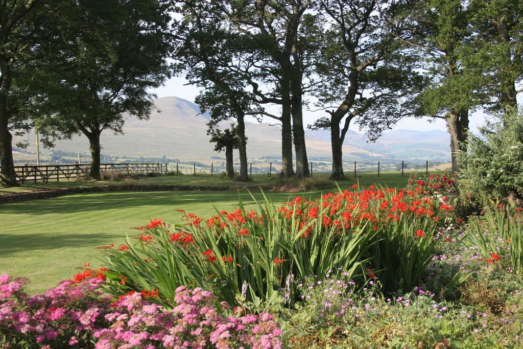 Bannerdale Apartment Penrith