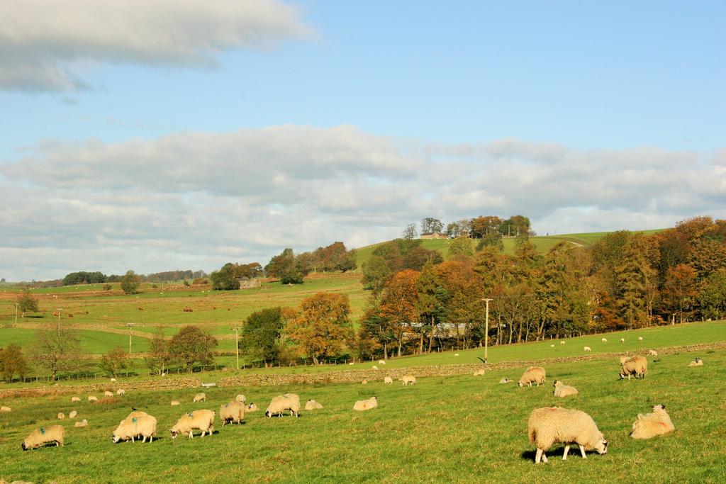 Holiday home Stable Barn Penrith