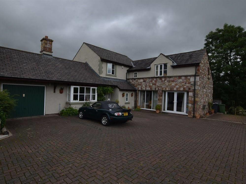 Bed & Breakfast Rebels Hide 3*