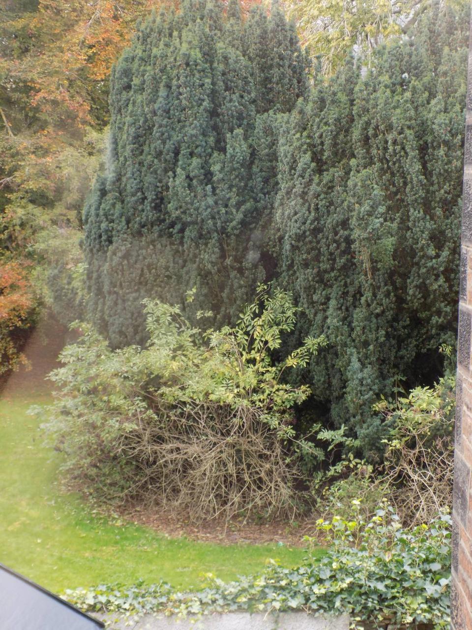 Guest house Glendale 4*
