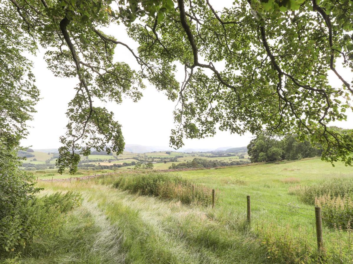 Brow Wood * Penrith