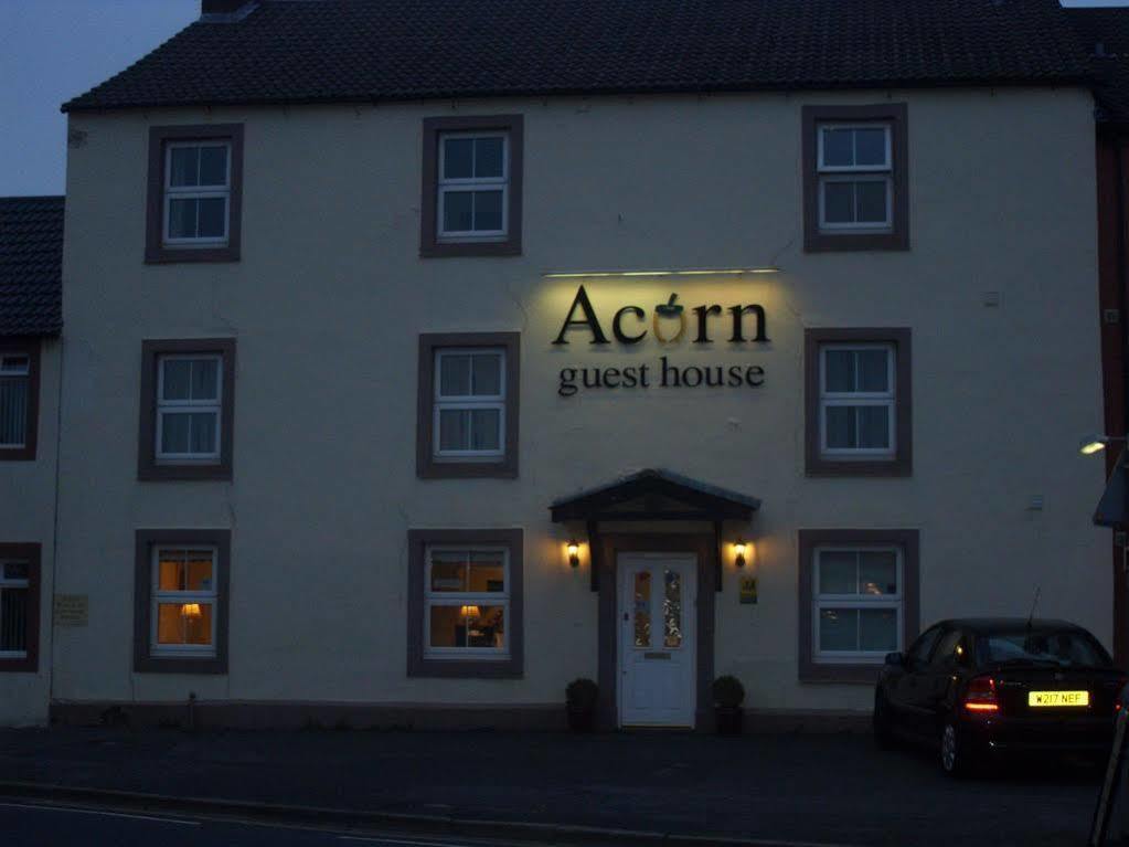 Acorn